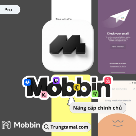 Tài khoản Mobbin Pro 1 năm
